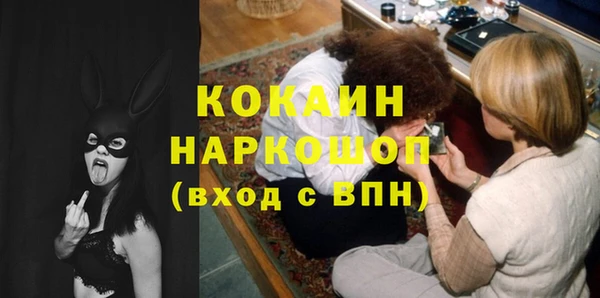 СК Алексин