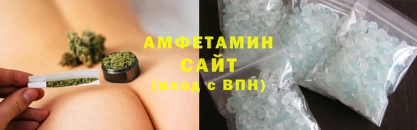 прущие грибы Аркадак