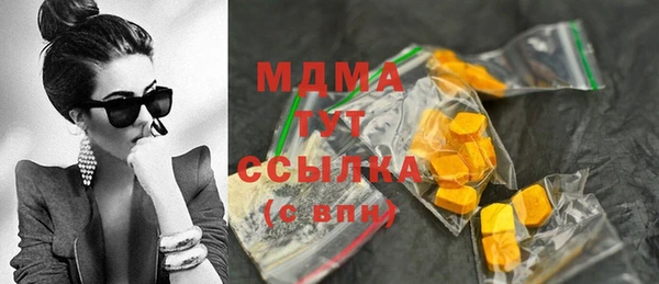 СК Алексин