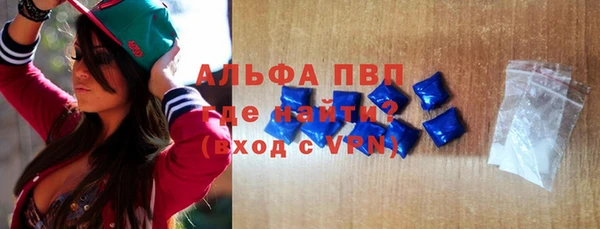 СК Алексин